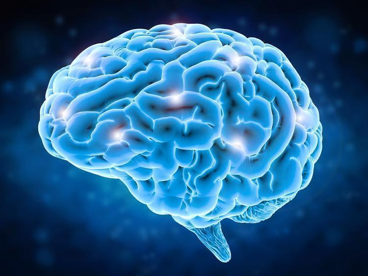 7 faits étonnants sur le cerveau